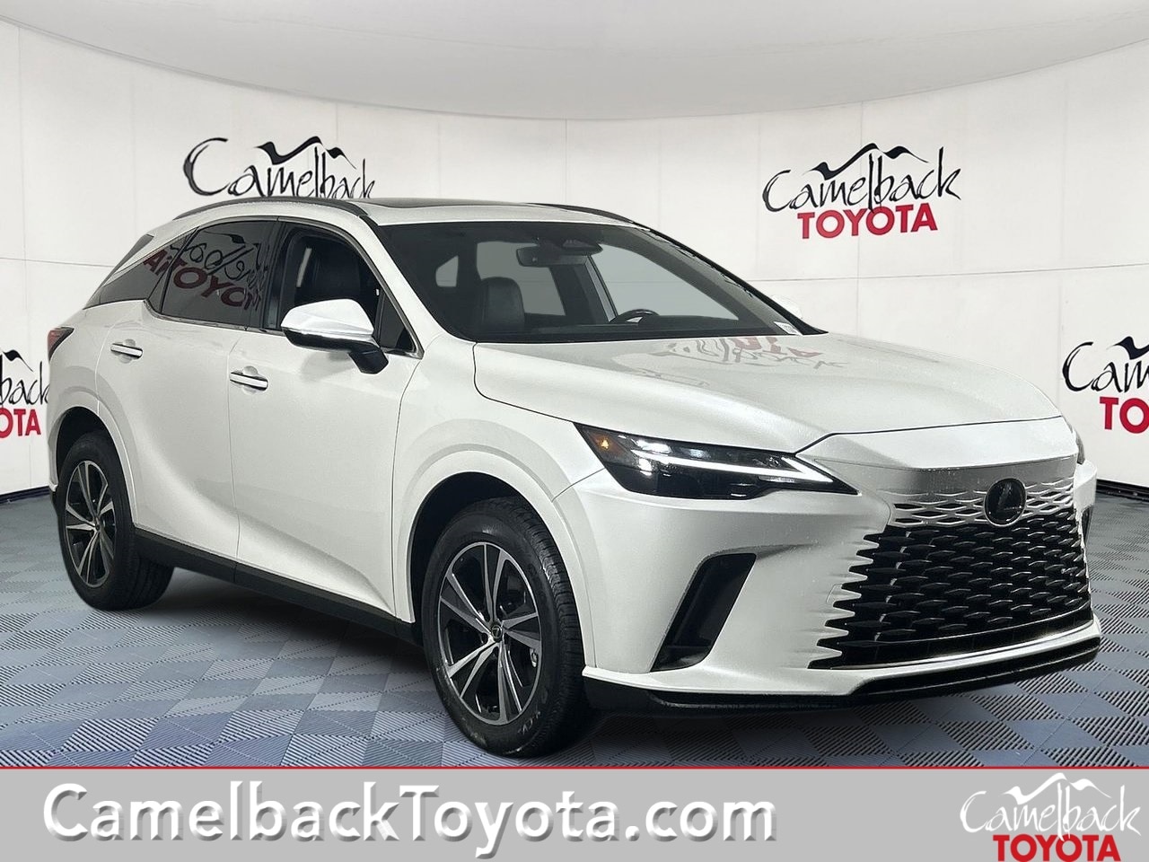 2023 Lexus RX 350's photo