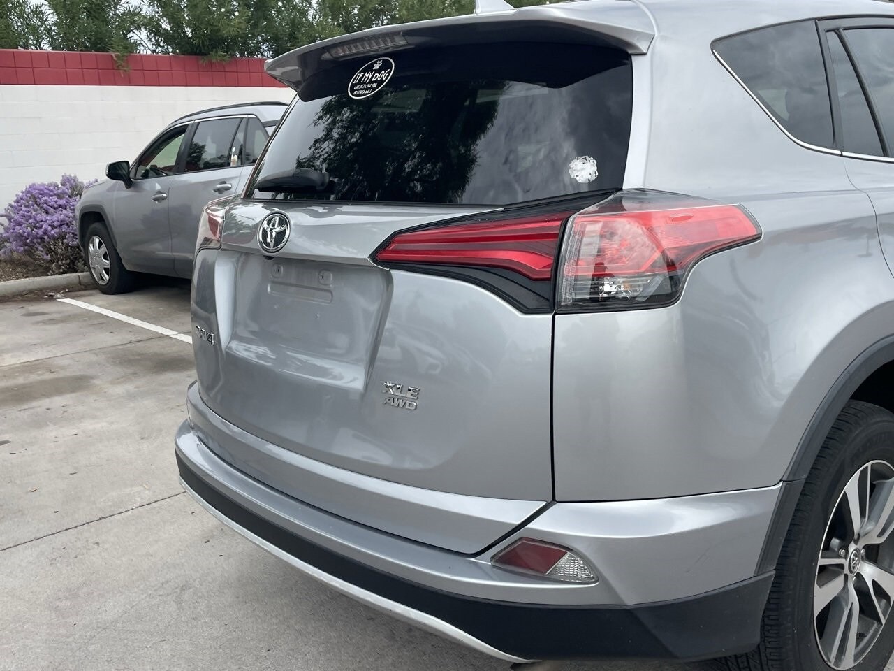 2016 Toyota RAV4 XLE photo 4