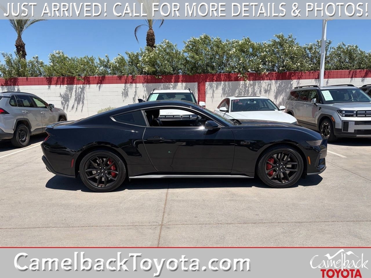 2024 Ford Mustang GT Premium Fastback's photo