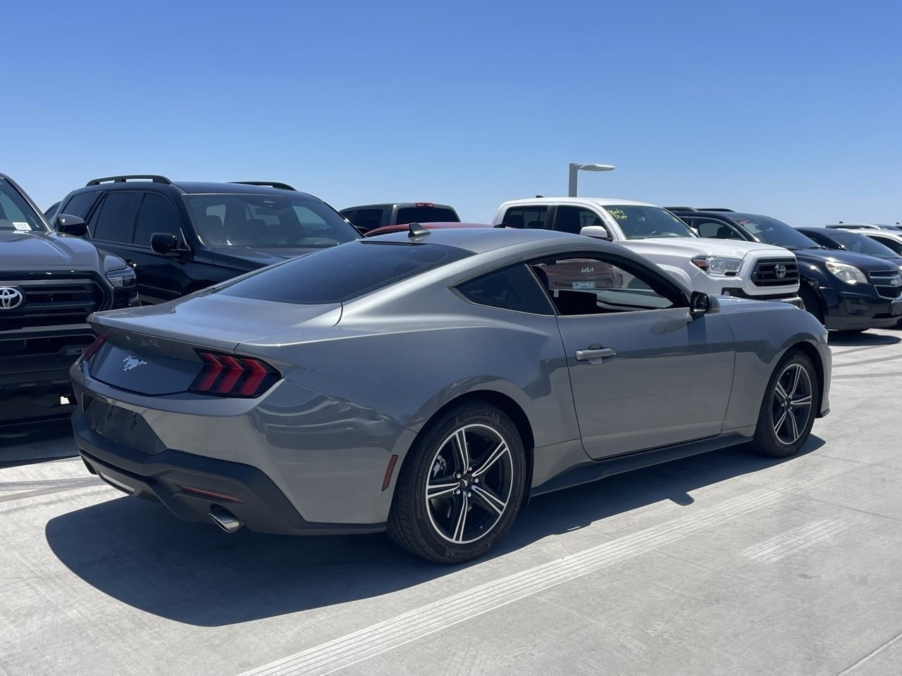 Used 2025 Ford Mustang EcoBoost with VIN 1FA6P8TH7S5102977 for sale in Phoenix, AZ