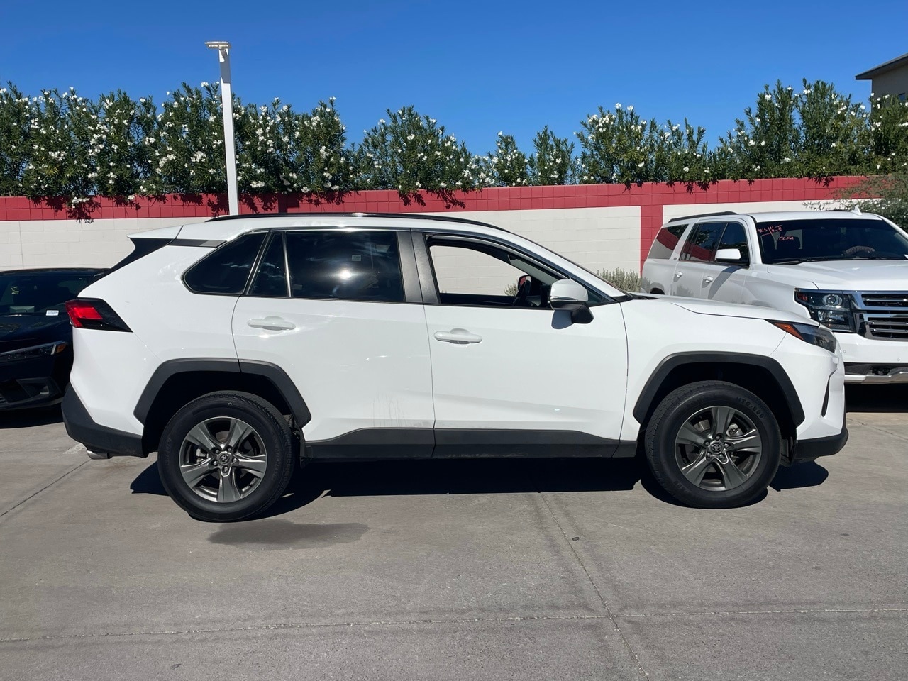 Certified 2024 Toyota RAV4 XLE with VIN 2T3W1RFV9RW309165 for sale in Northfield, Minnesota