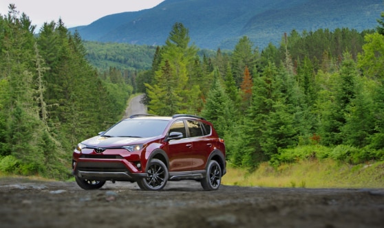 2018 RAV4 Adventure