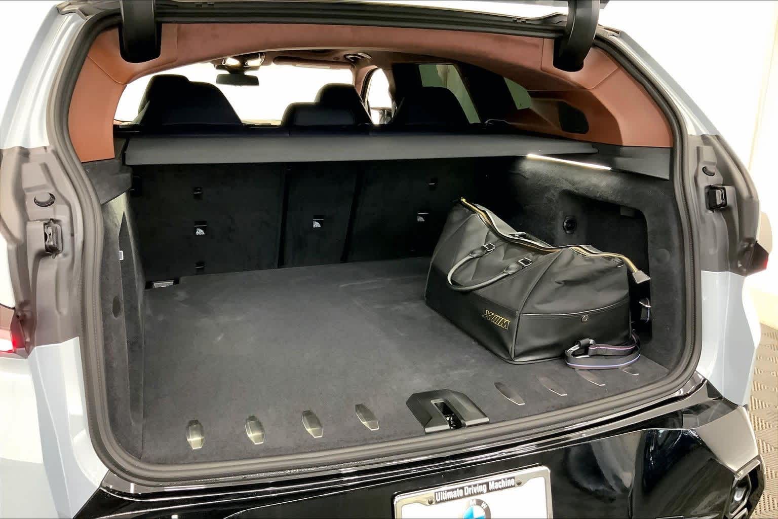 Thumbnail: 2026 BMW XM - 19