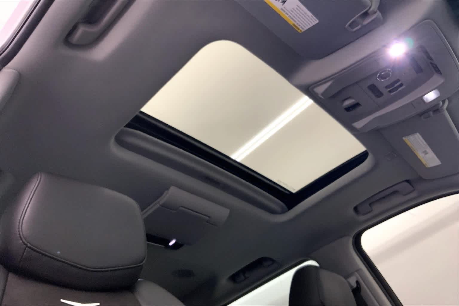 Thumbnail: 2020 Cadillac Escalade - 30