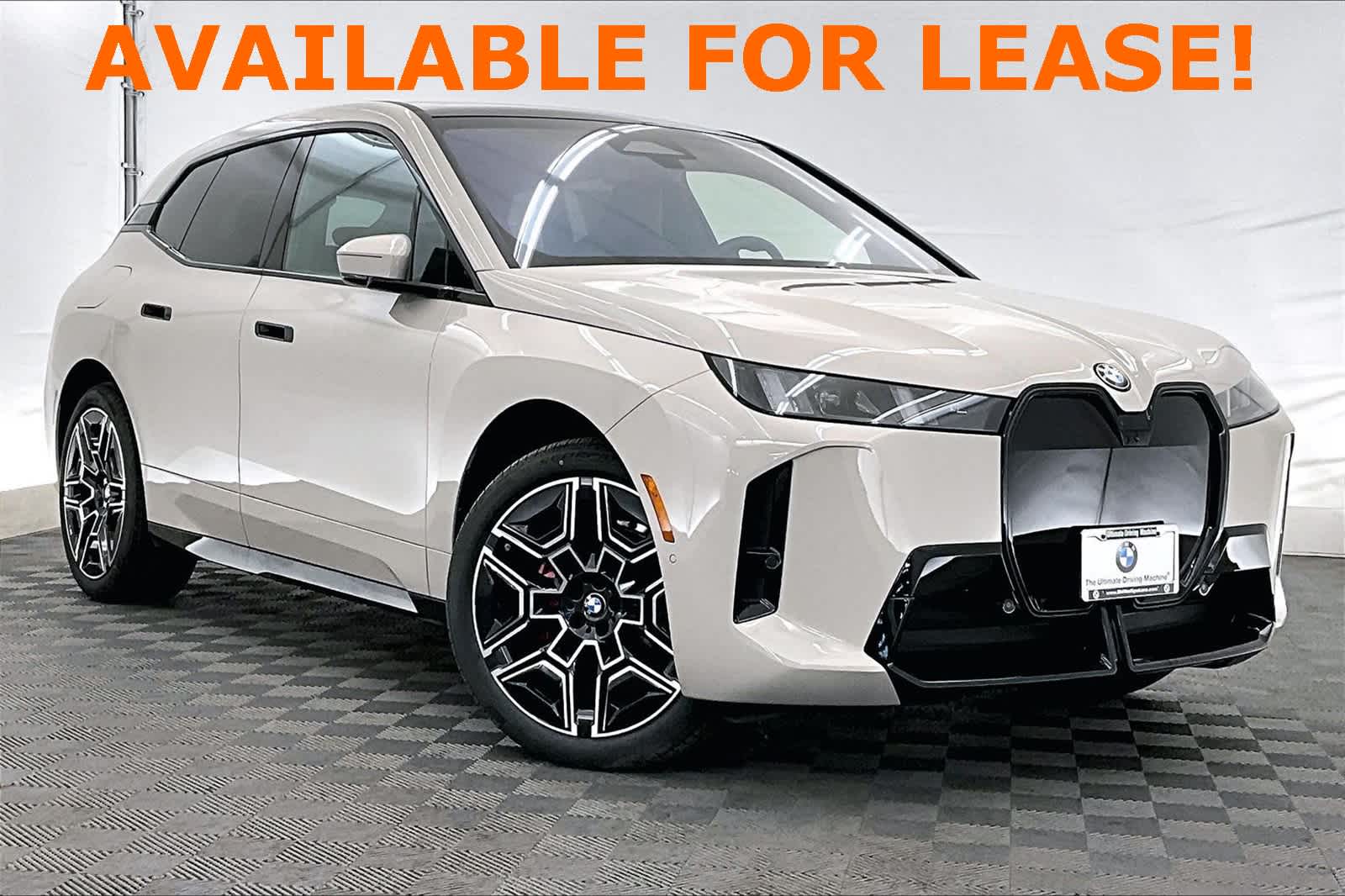 Thumbnail: 2026 BMW iX - 20