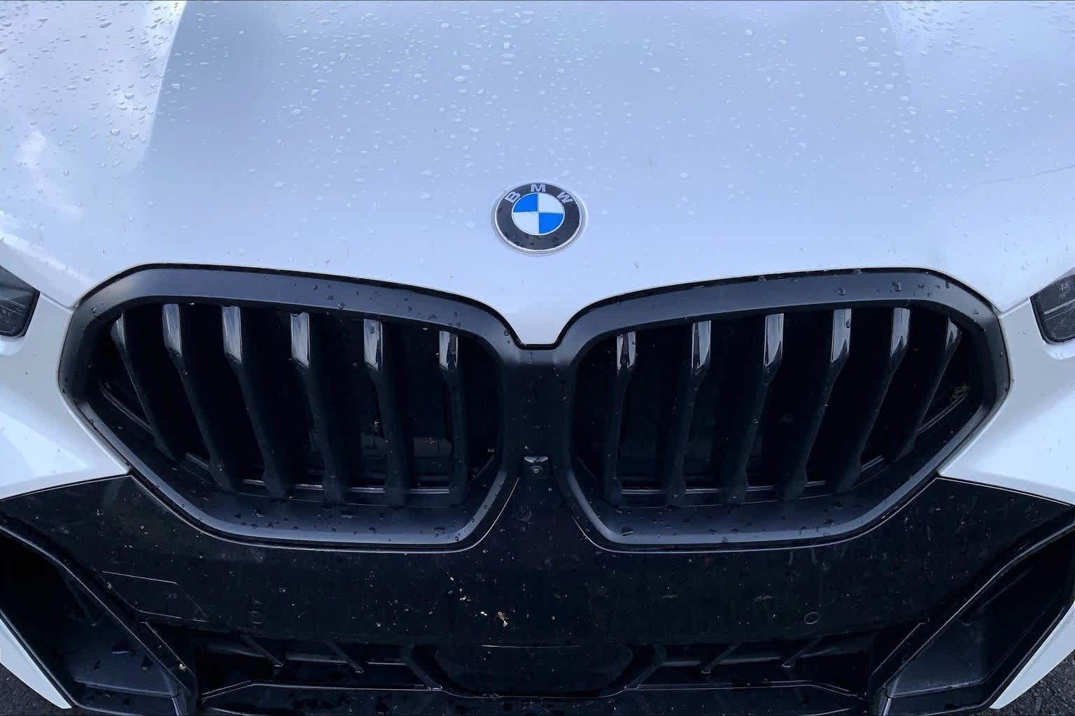 Thumbnail: 2025 BMW X6 - 16