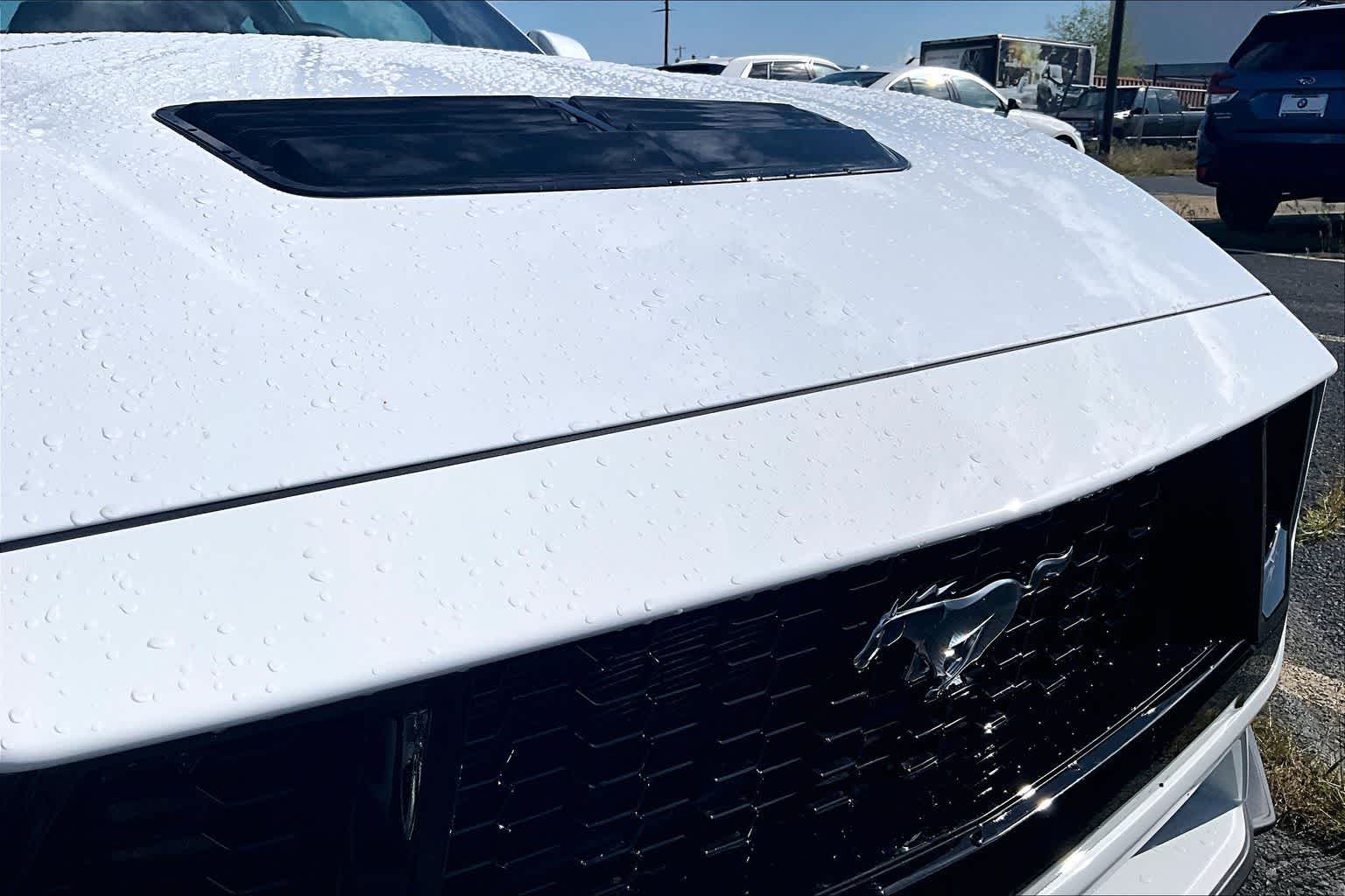 Thumbnail: 2025 Ford Mustang - 16