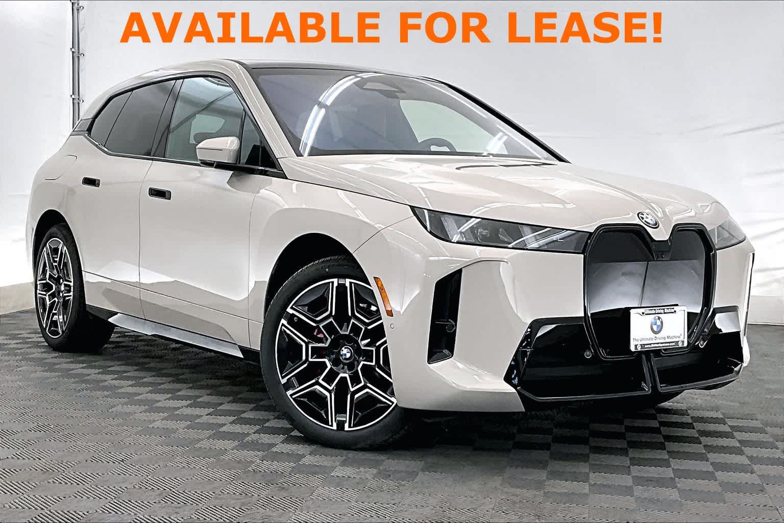 Thumbnail: 2026 BMW iX - 20