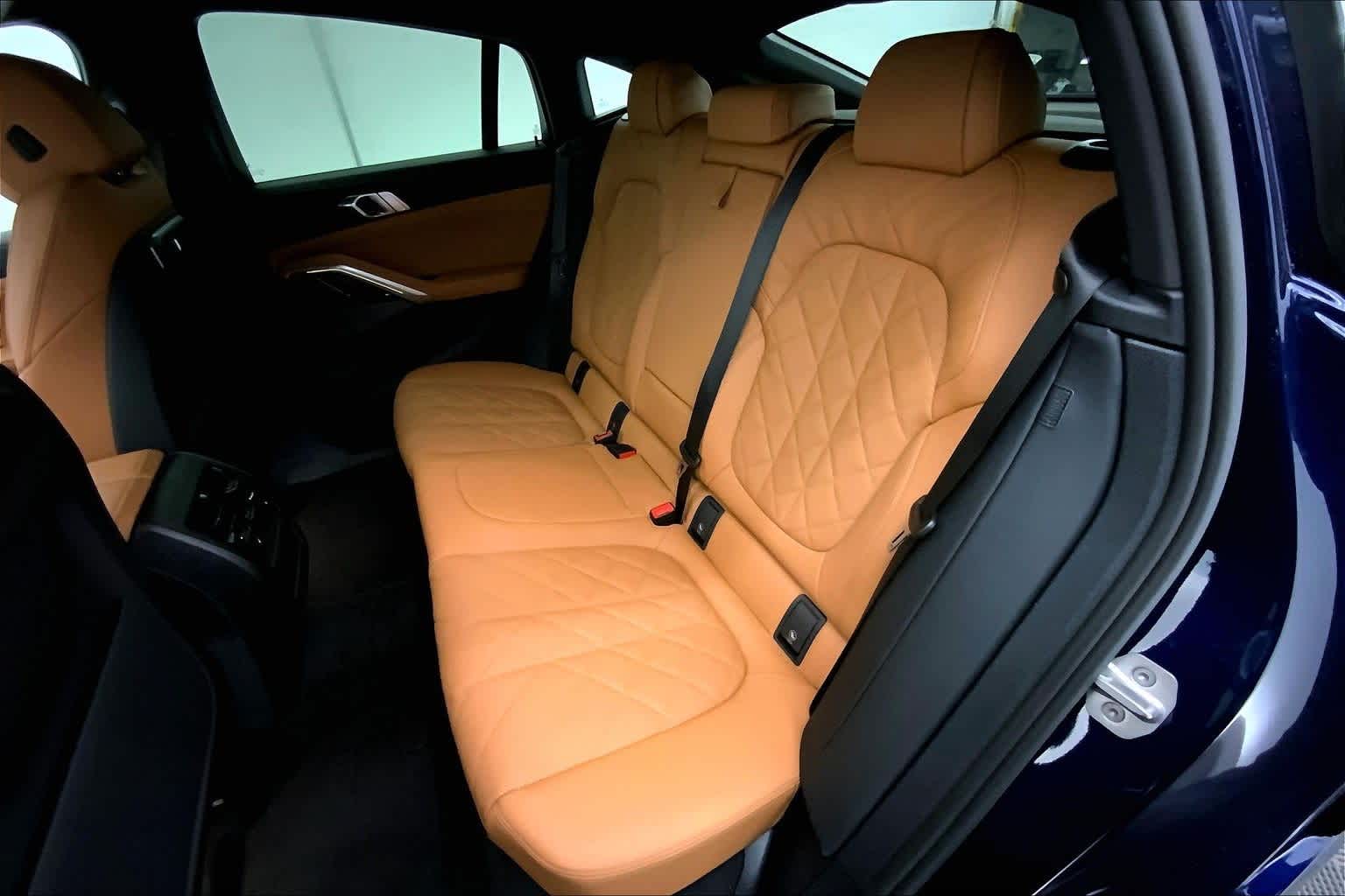 Thumbnail: 2026 BMW X6 - 13