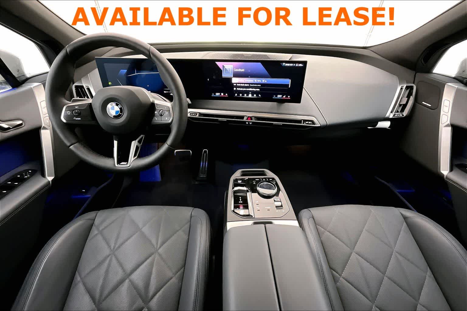 Thumbnail: 2026 BMW iX - 9