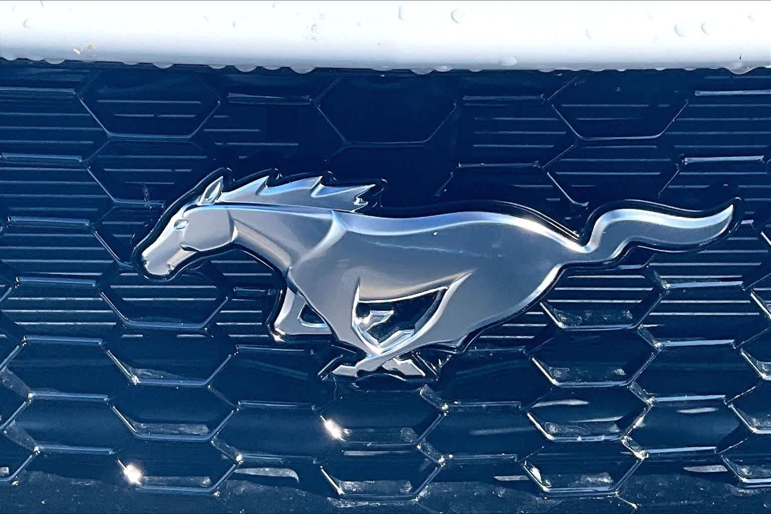 Thumbnail: 2025 Ford Mustang - 17