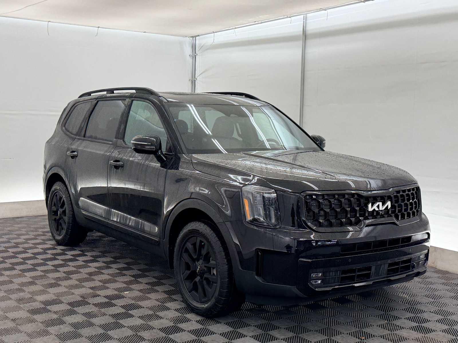 Thumbnail: 2024 Kia Telluride - 8