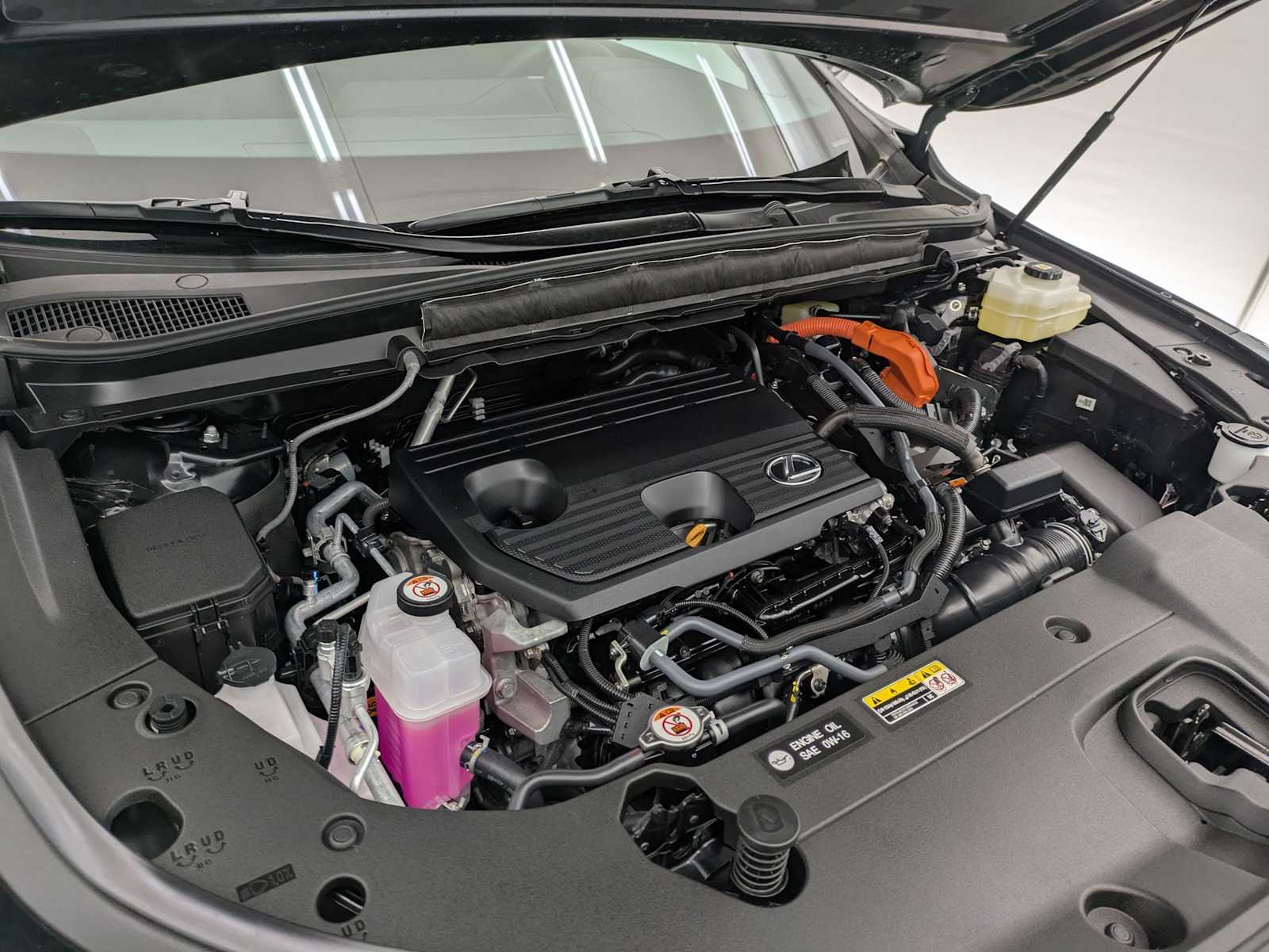 2024 Lexus RX  14
