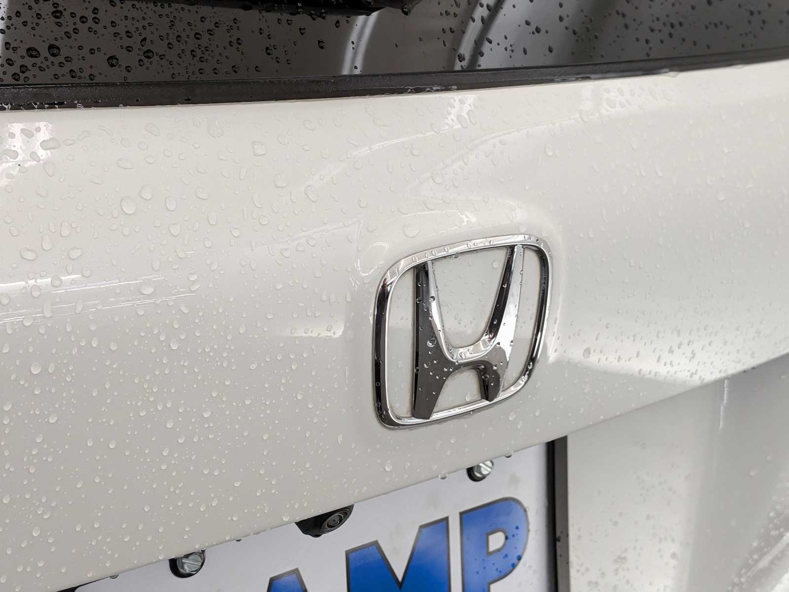 Thumbnail: 2021 Honda Pilot - 11