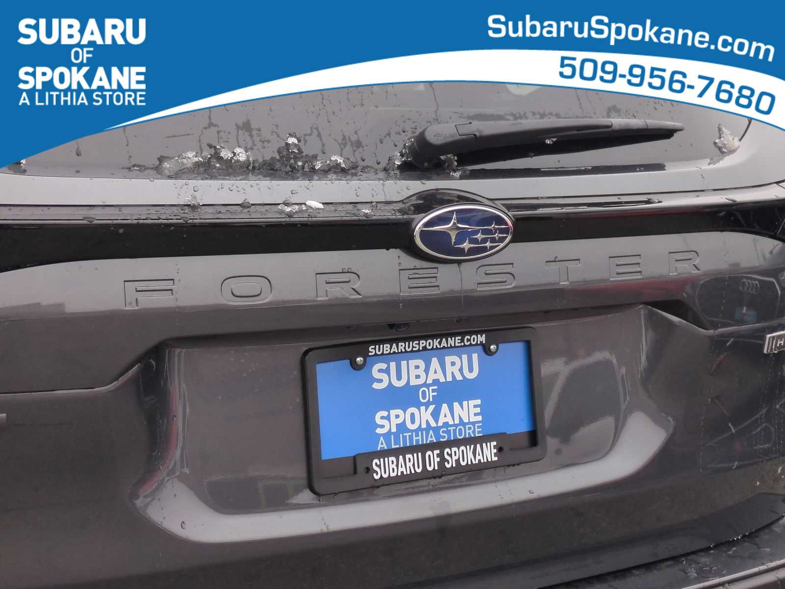 Thumbnail: 2025 Subaru Forester - 13