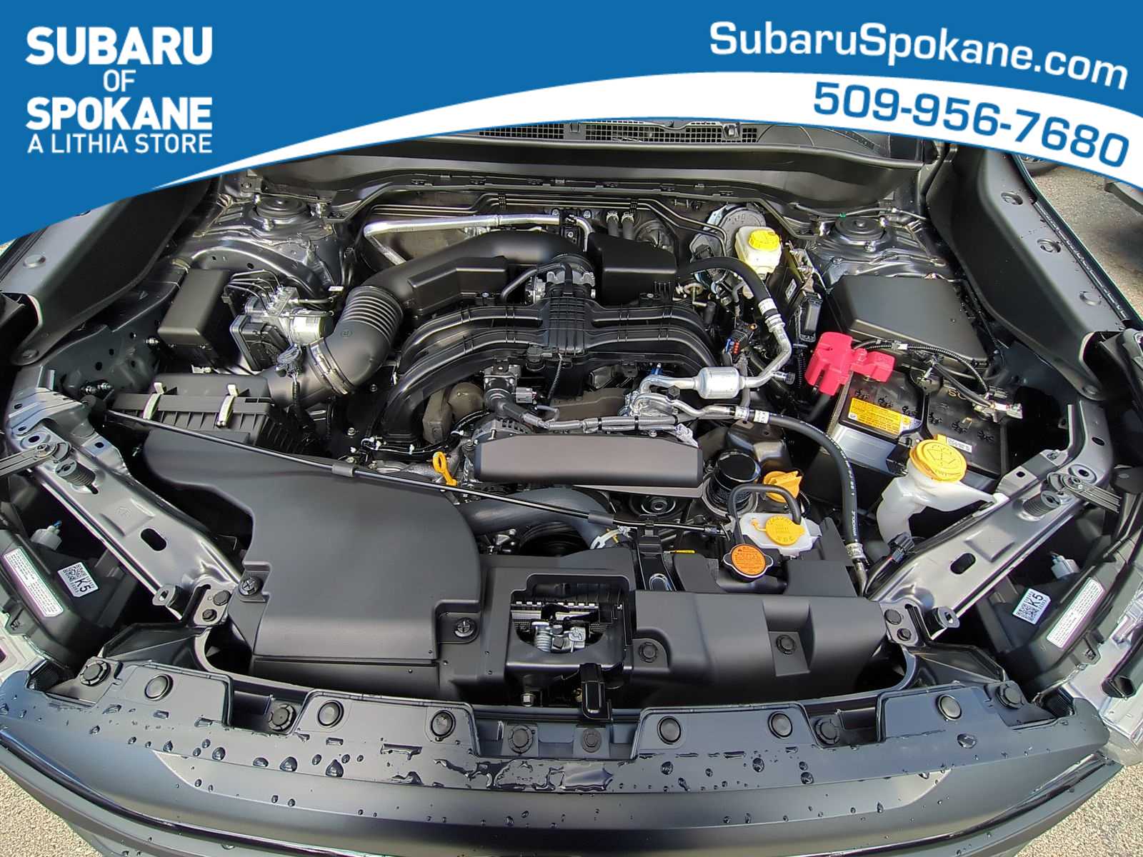 Thumbnail: 2025 Subaru Forester - 15