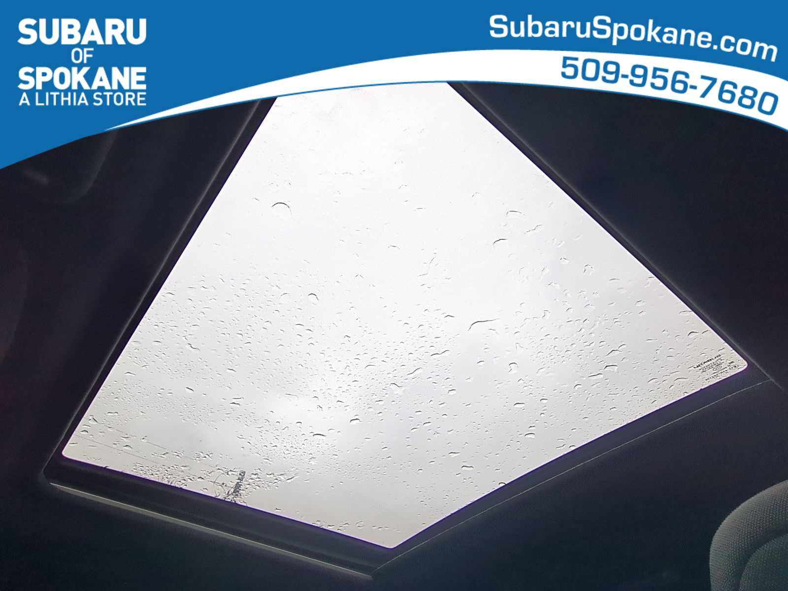 Thumbnail: 2025 Subaru Forester - 20