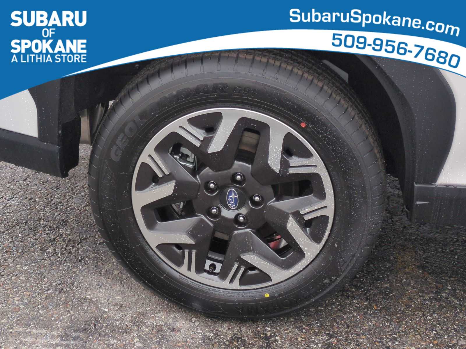 Thumbnail: 2026 Subaru Forester - 14