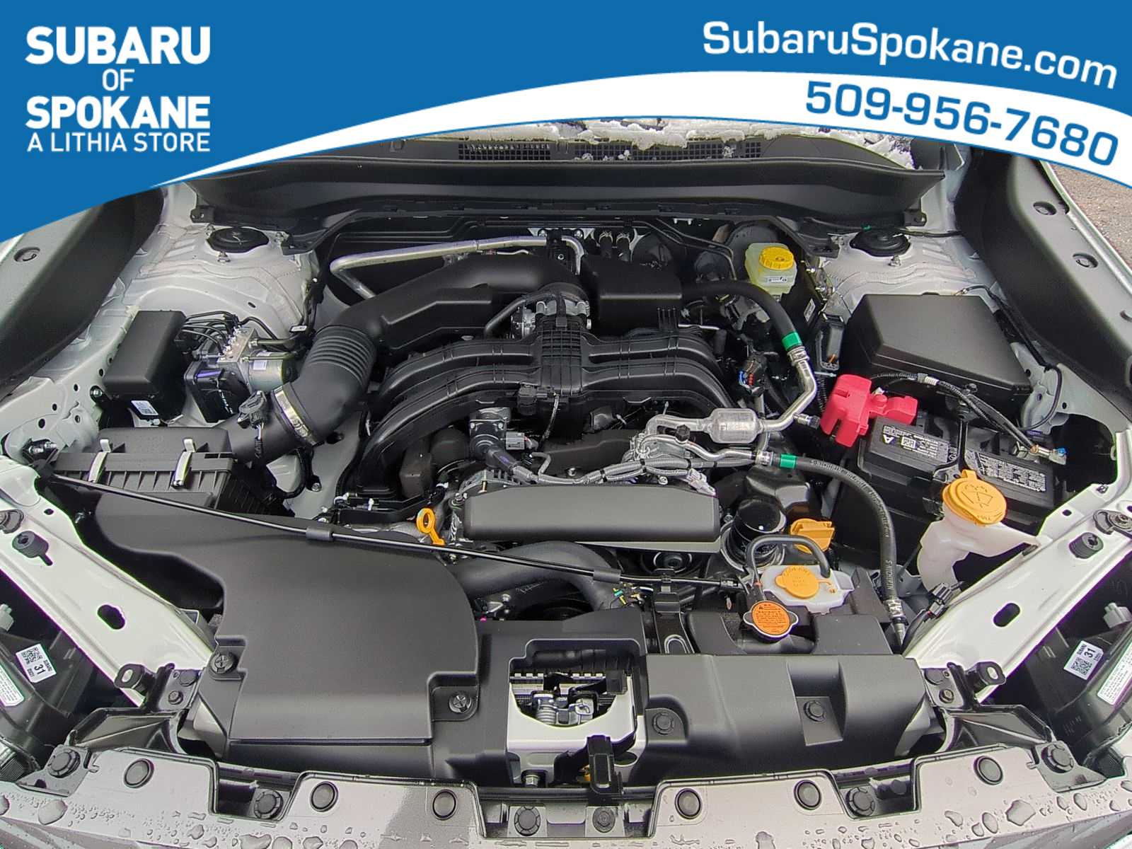 Thumbnail: 2026 Subaru Forester - 15