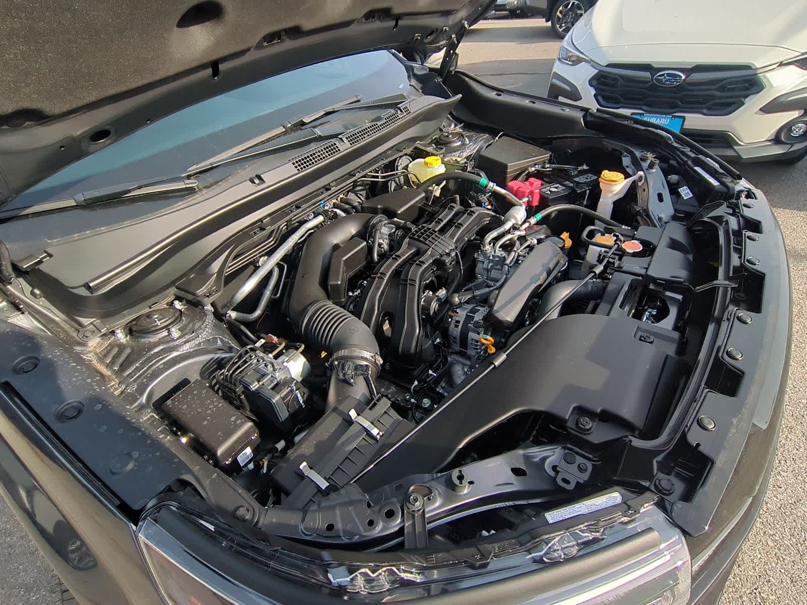 Thumbnail: 2026 Subaru Forester - 15