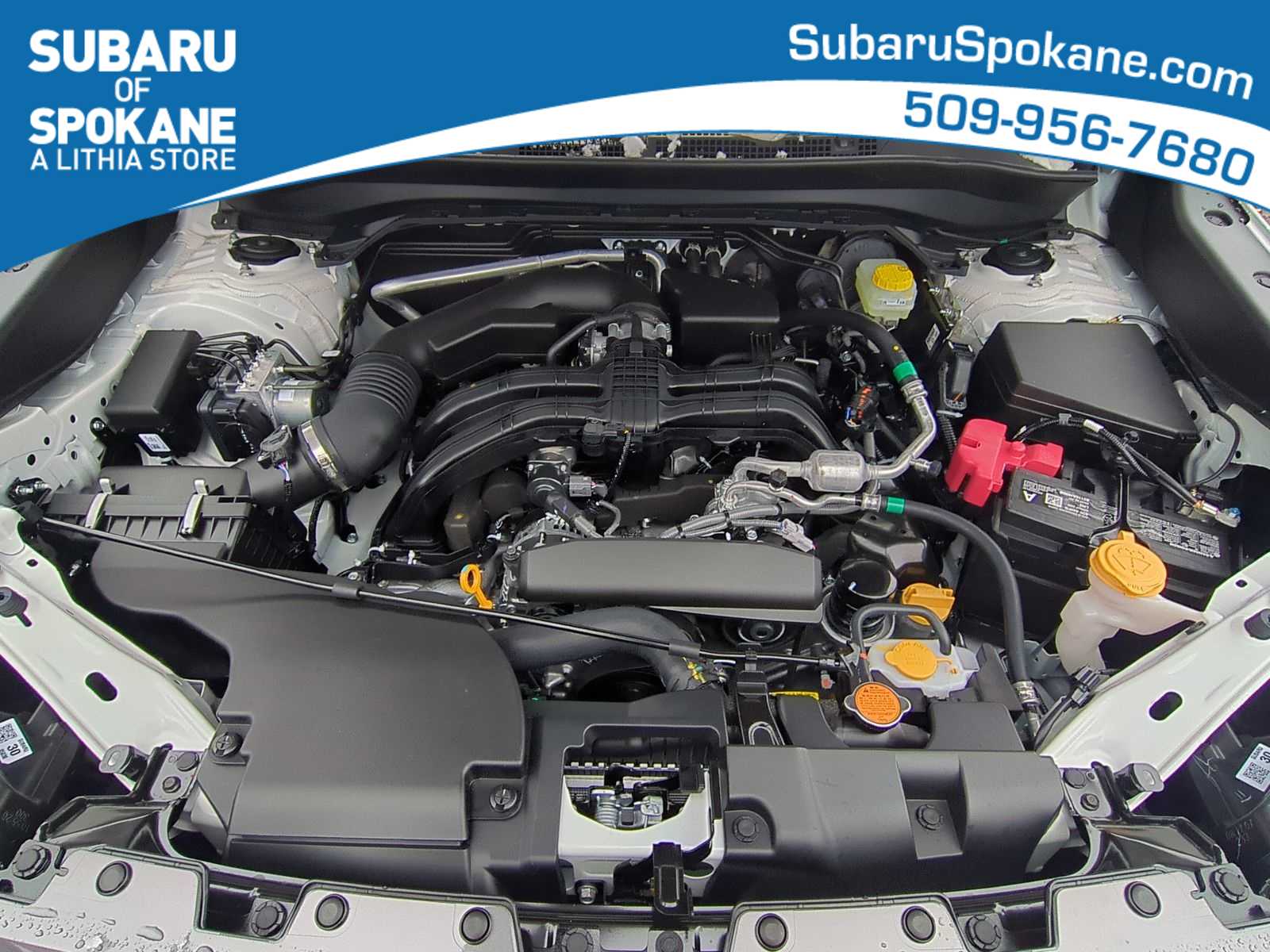 Thumbnail: 2026 Subaru Forester - 15