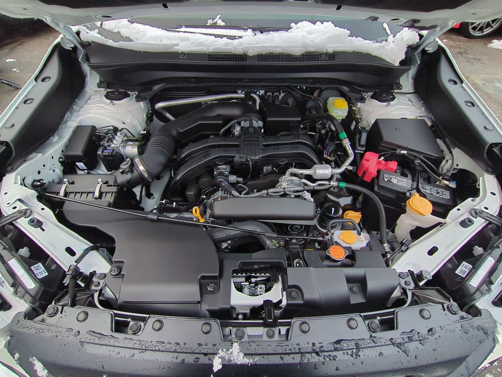 Thumbnail: 2026 Subaru Forester - 15