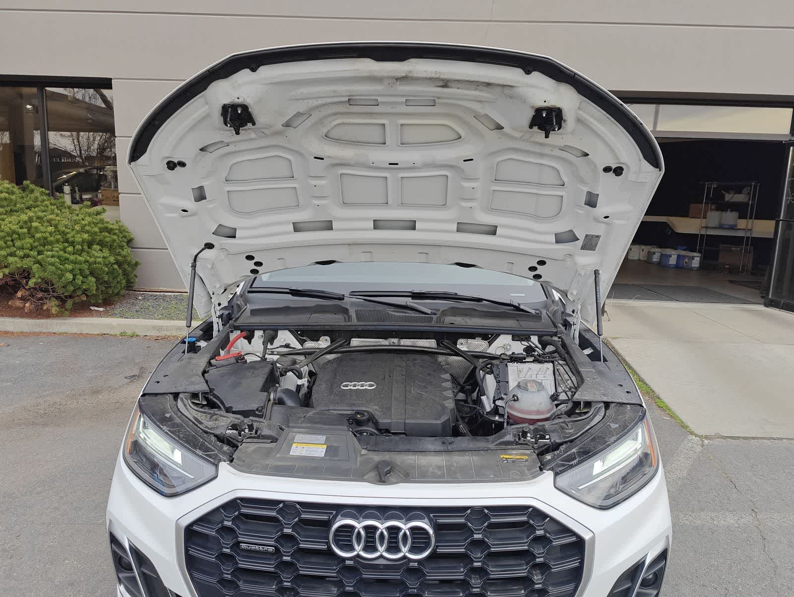 Thumbnail: 2024 Audi Q5 - 14