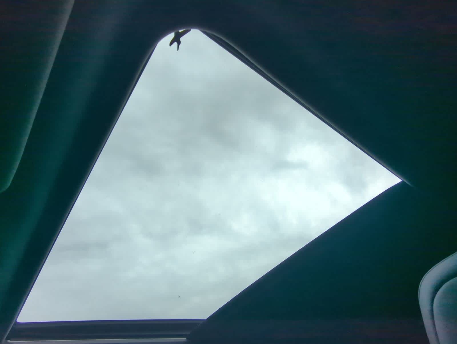 Thumbnail: 2025 Subaru Forester - 20