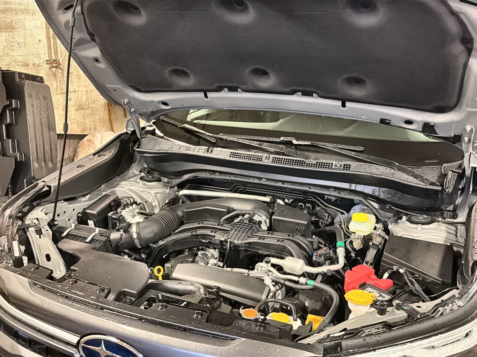 Thumbnail: 2026 Subaru Forester - 15