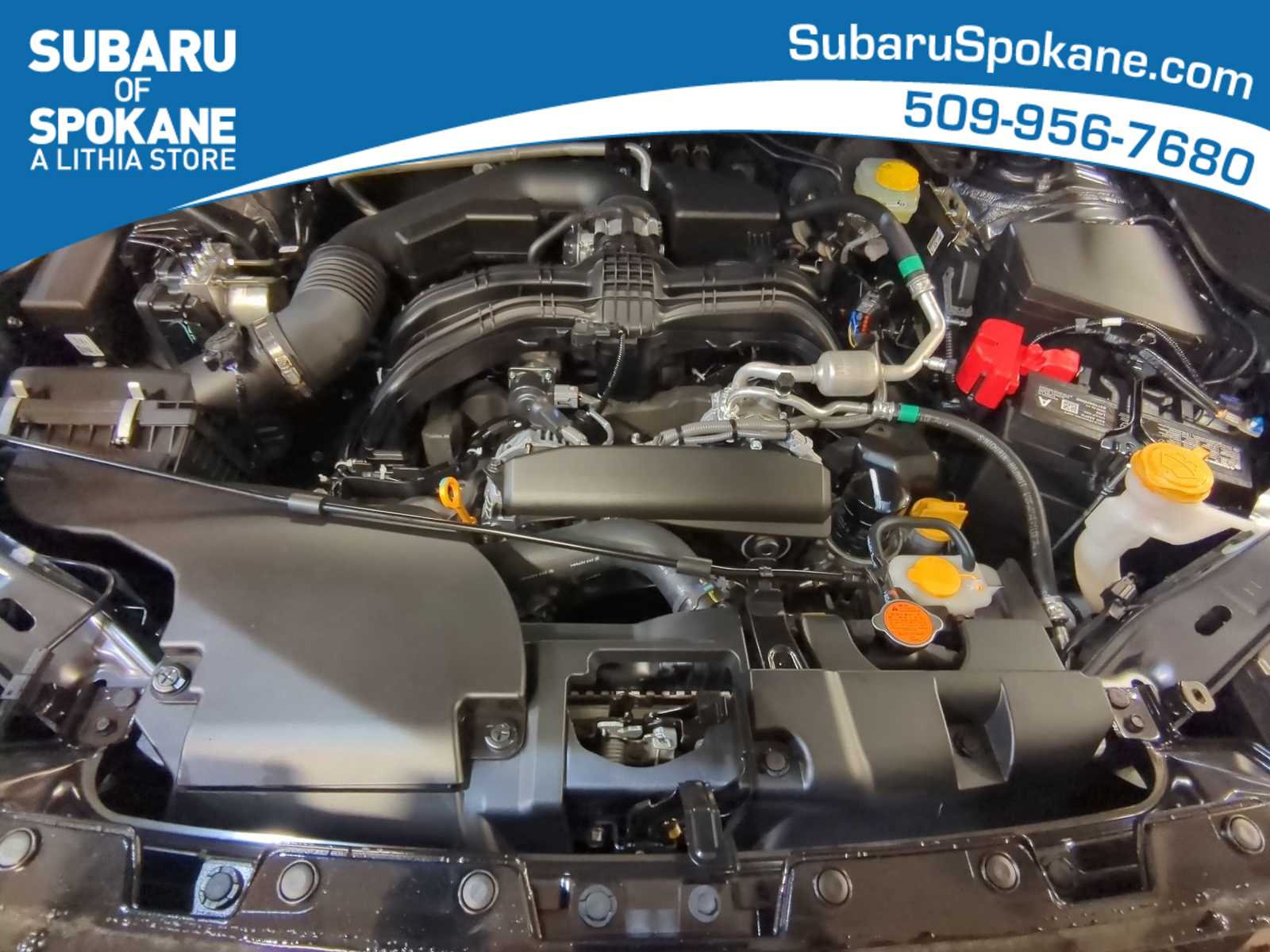 Thumbnail: 2026 Subaru Forester - 15