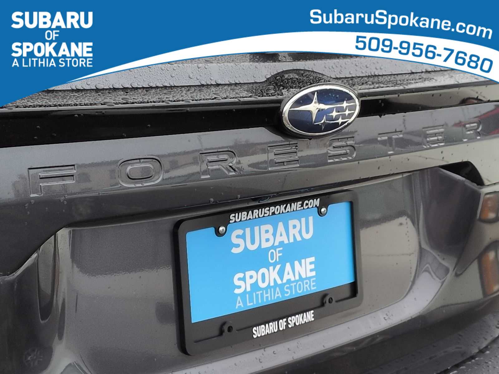 Thumbnail: 2026 Subaru Forester - 12