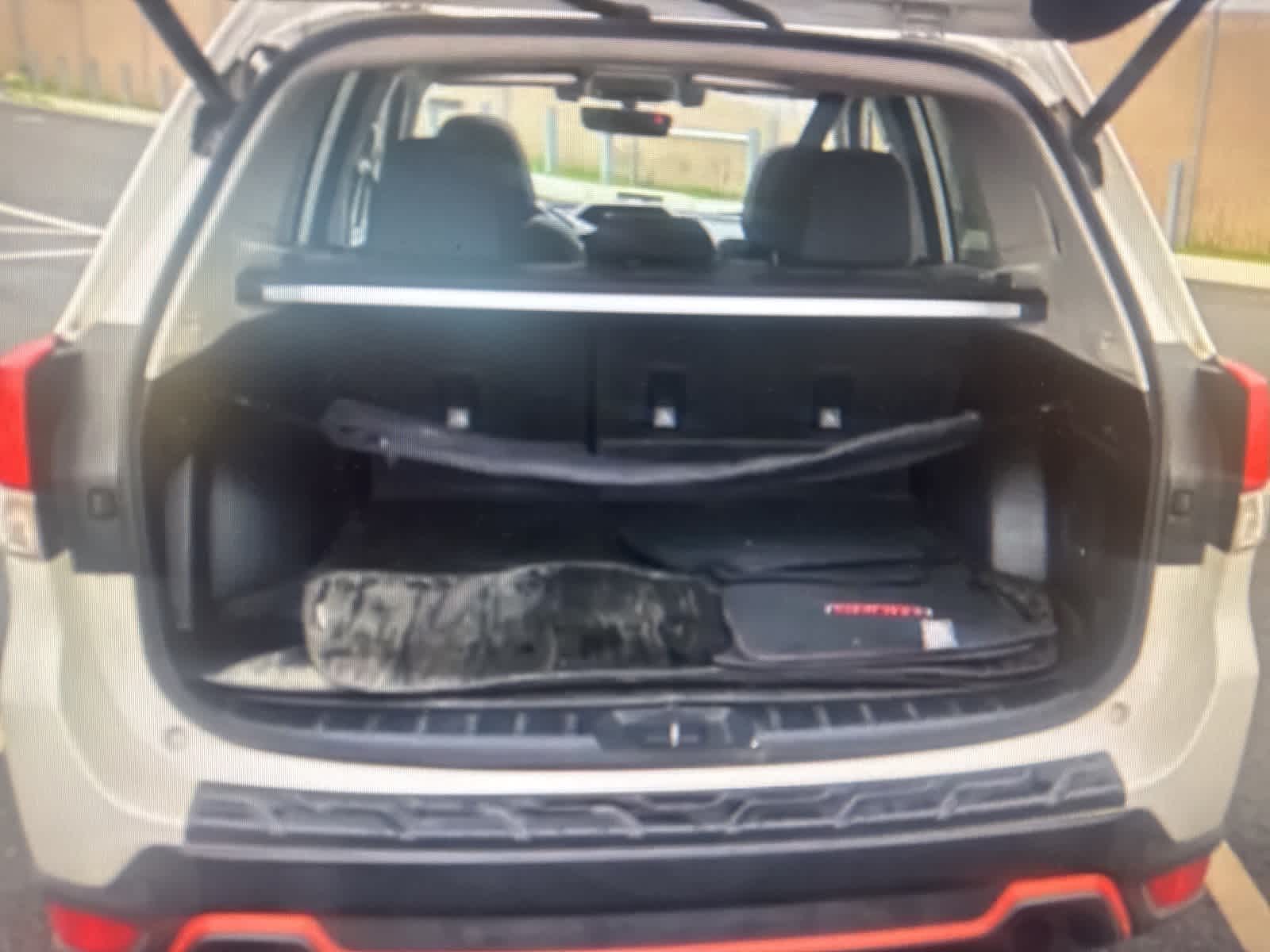 Thumbnail: 2019 Subaru Forester - 12