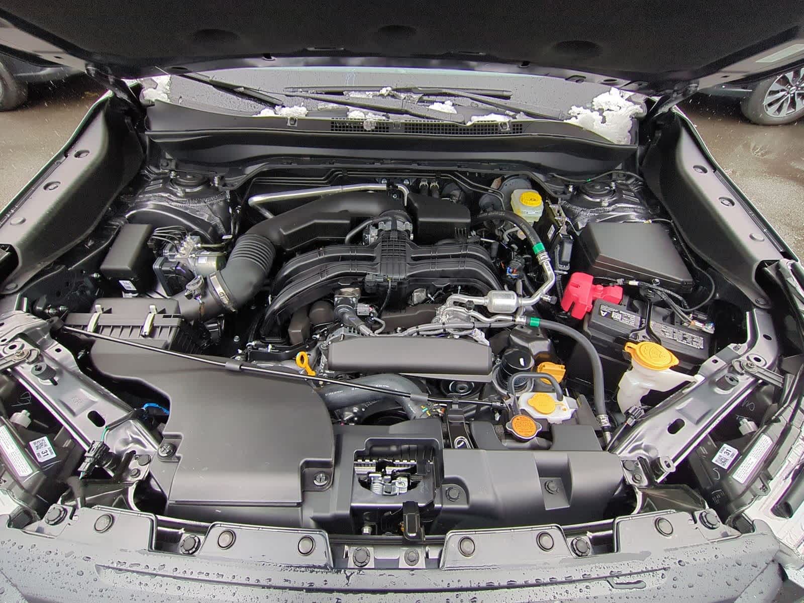 Thumbnail: 2026 Subaru Forester - 15