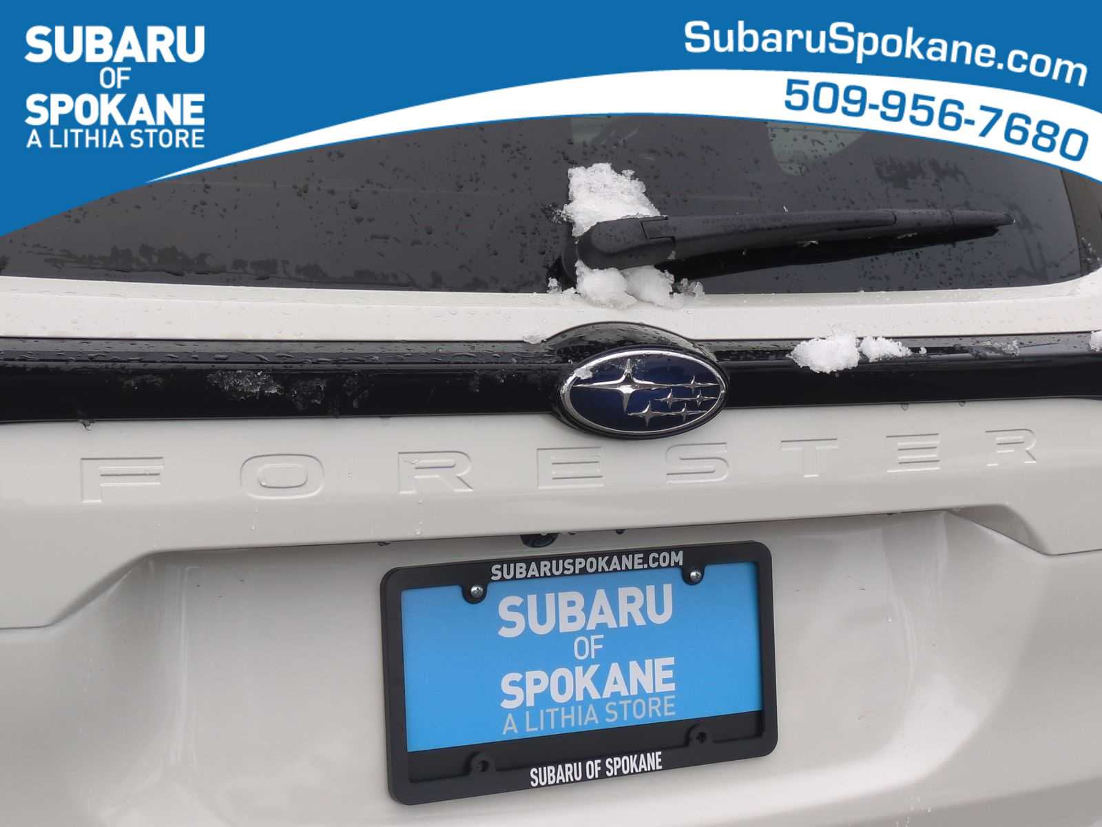 Thumbnail: 2026 Subaru Forester - 13