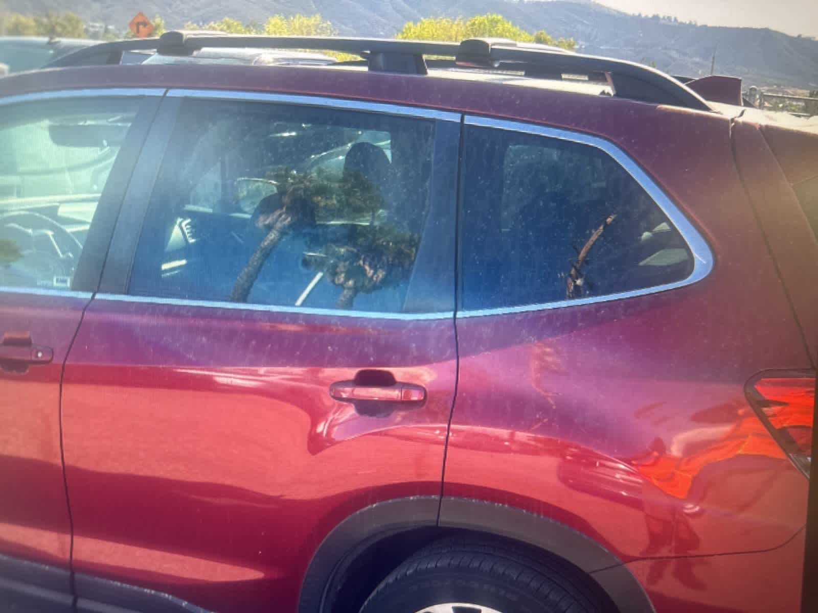 Thumbnail: 2020 Subaru Forester - 3