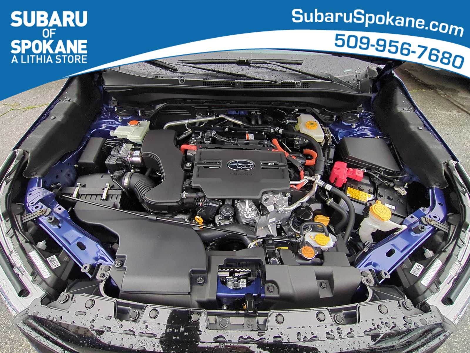 Thumbnail: 2025 Subaru Forester - 15