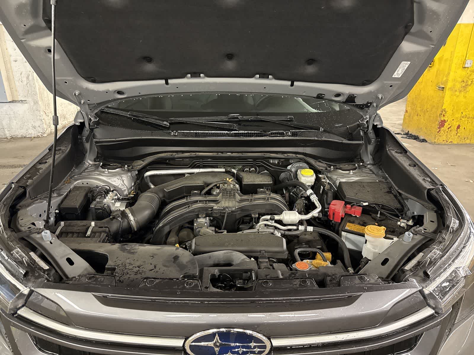 Thumbnail: 2025 Subaru Forester - 13