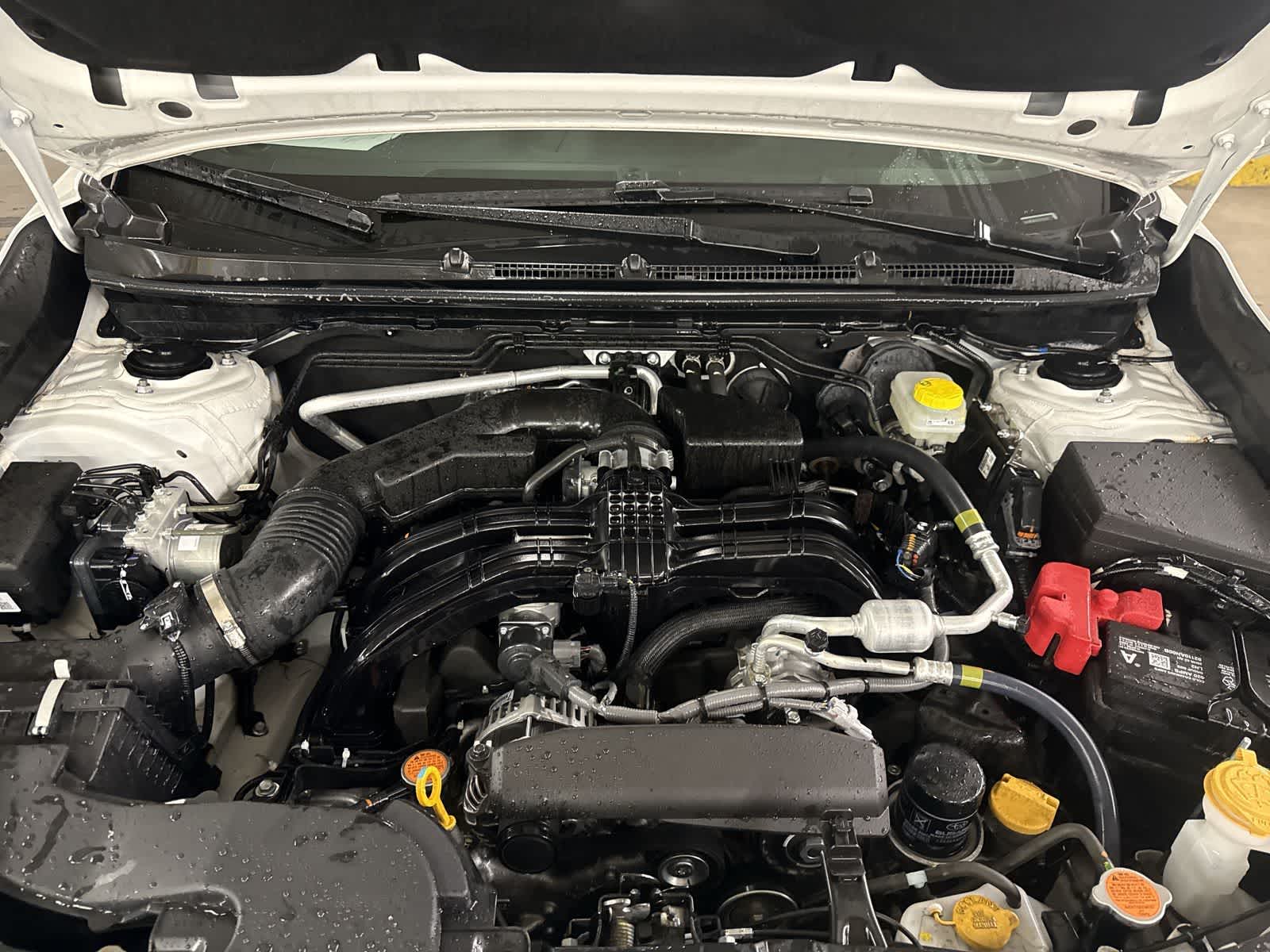 Thumbnail: 2025 Subaru Crosstrek - 13