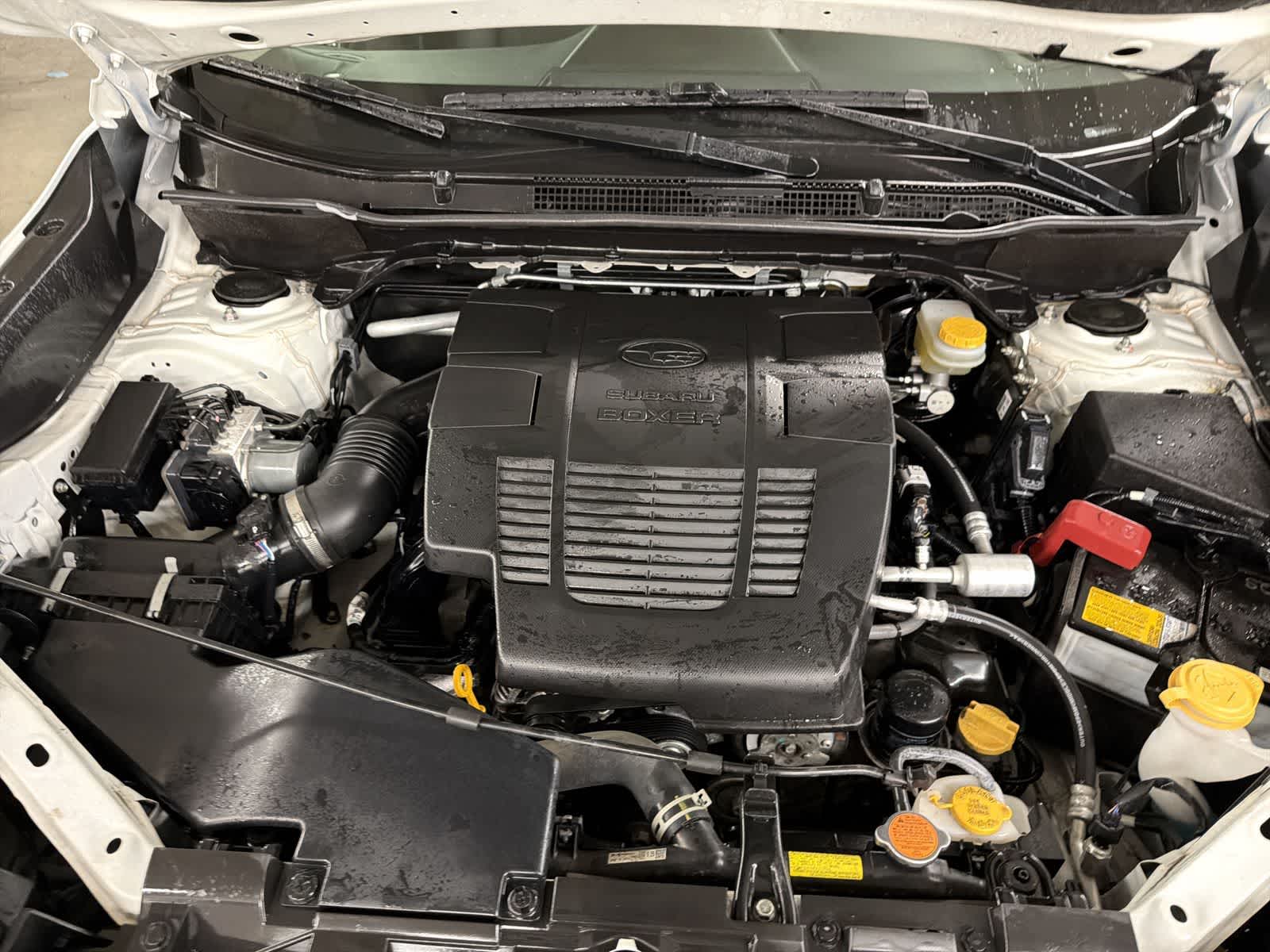 Thumbnail: 2021 Subaru Forester - 14