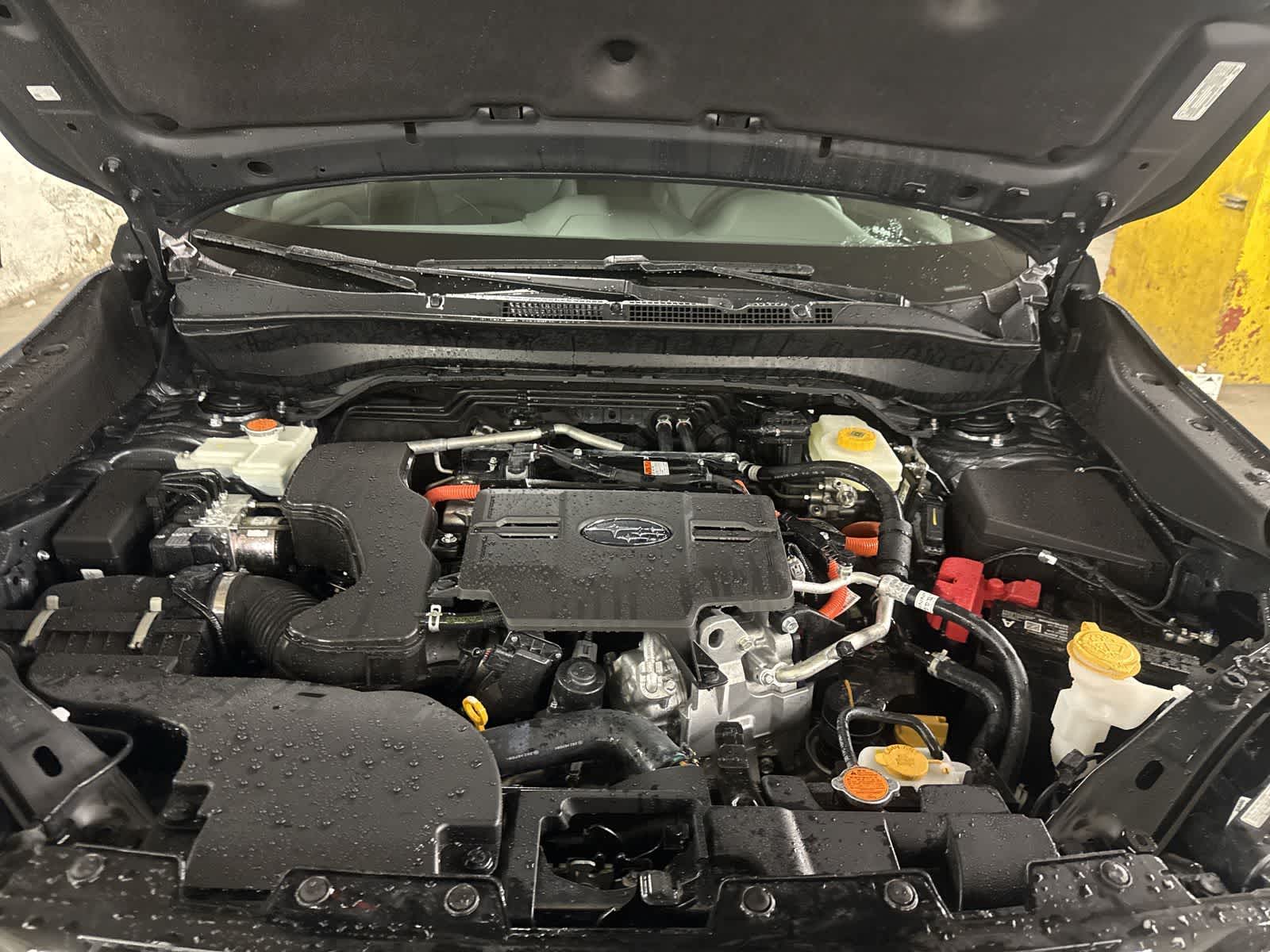 Thumbnail: 2026 Subaru Forester - 13