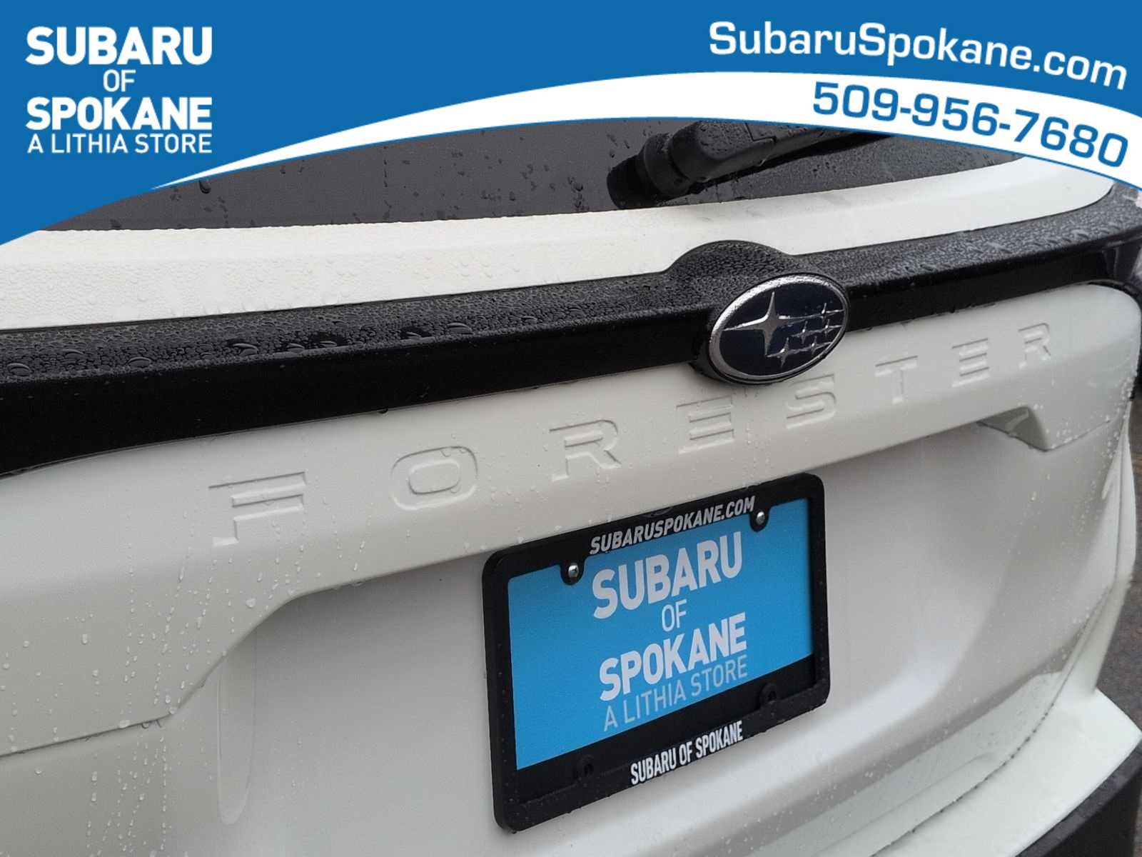 Thumbnail: 2026 Subaru Forester - 12