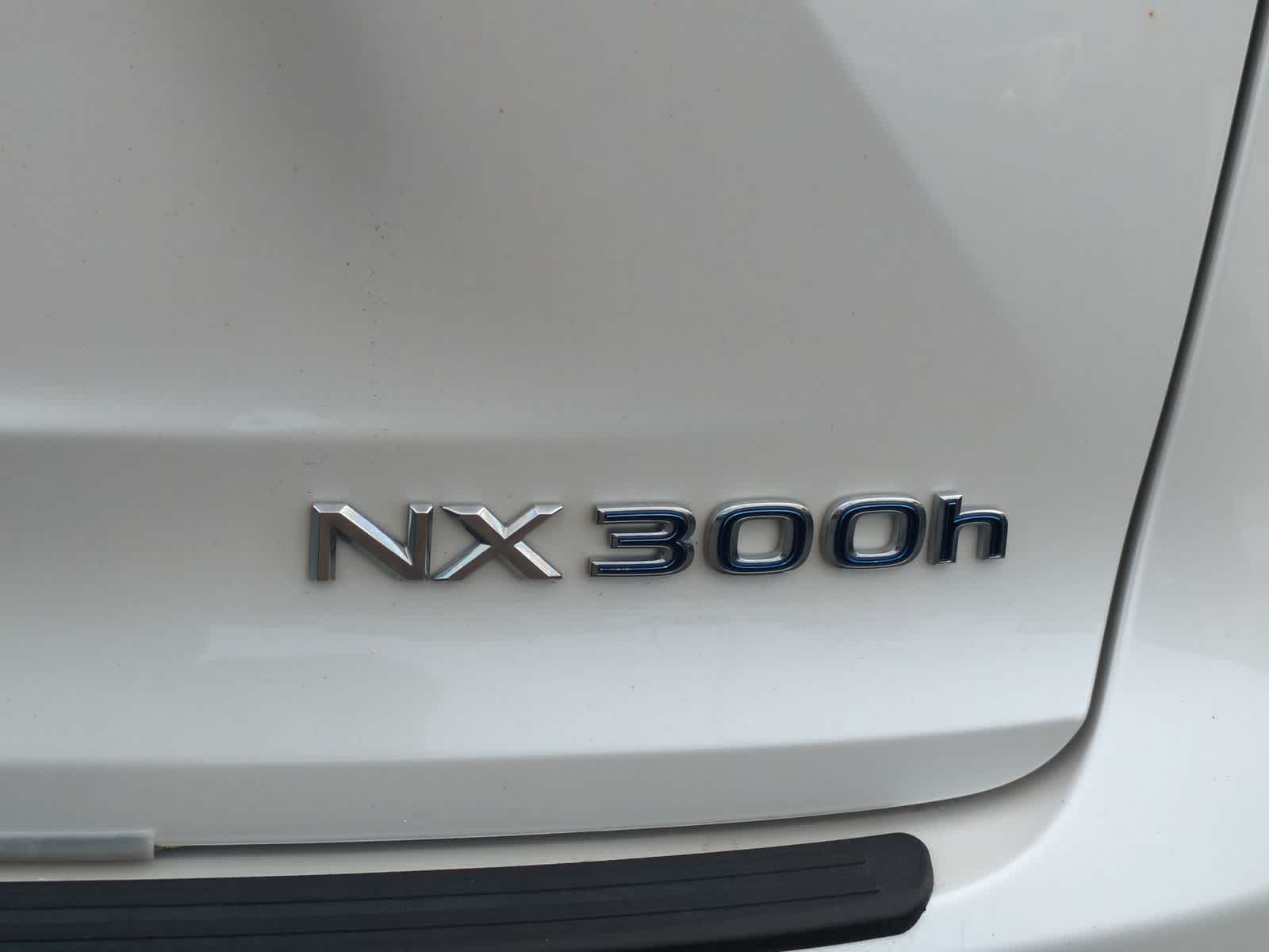 Thumbnail: 2018 Lexus NX - 13