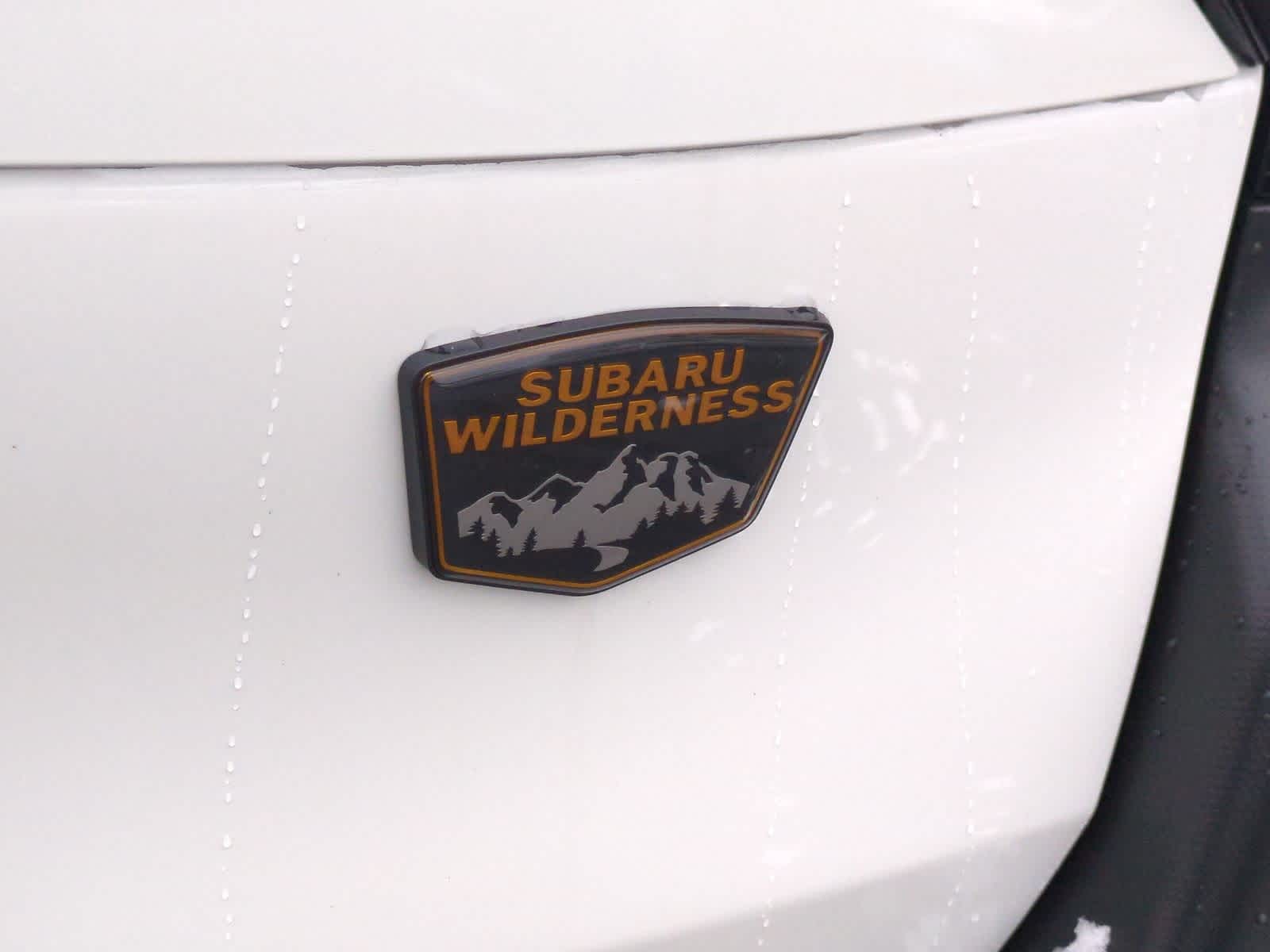 Thumbnail: 2026 Subaru Forester - 12