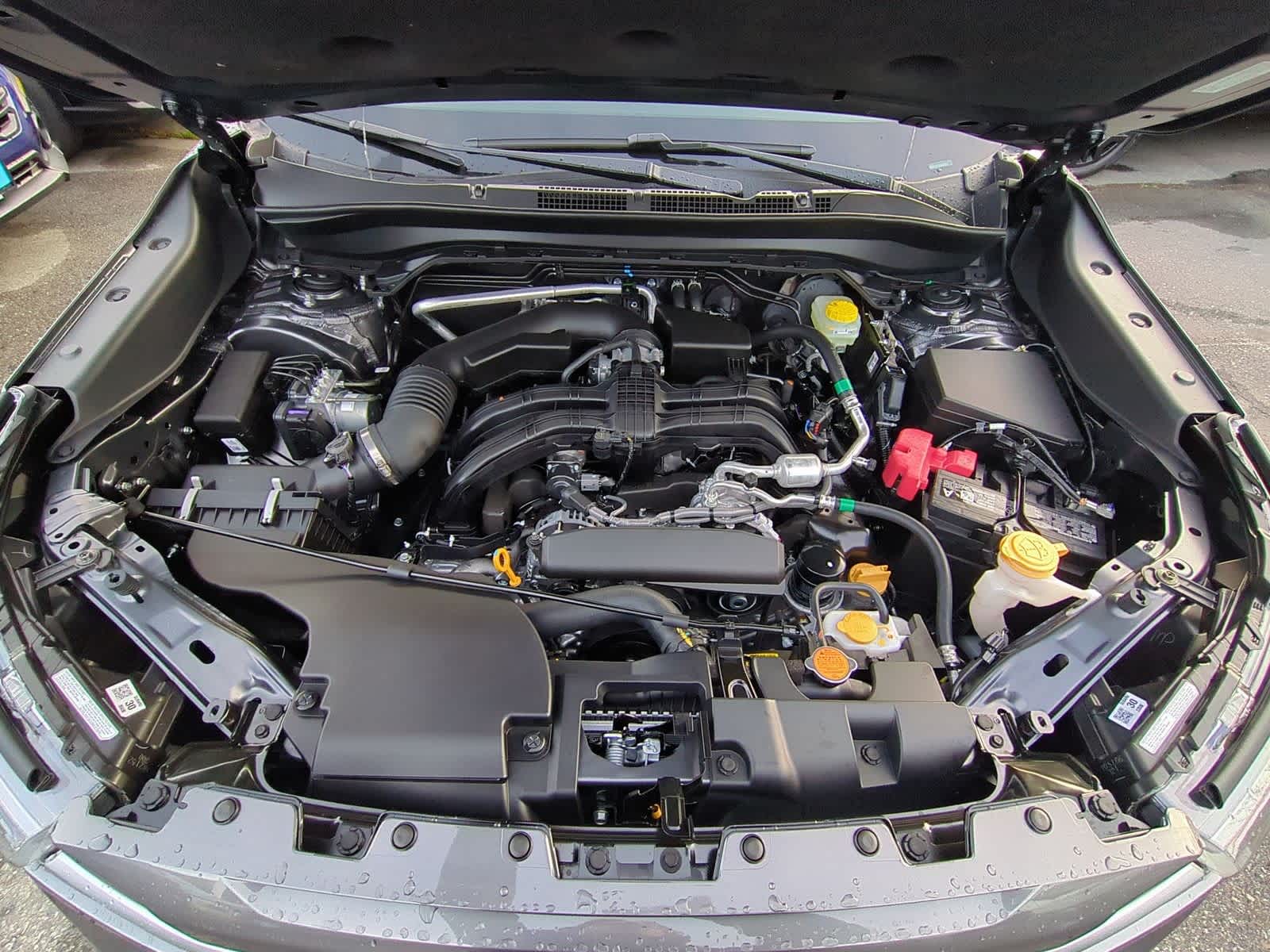 Thumbnail: 2026 Subaru Forester - 15