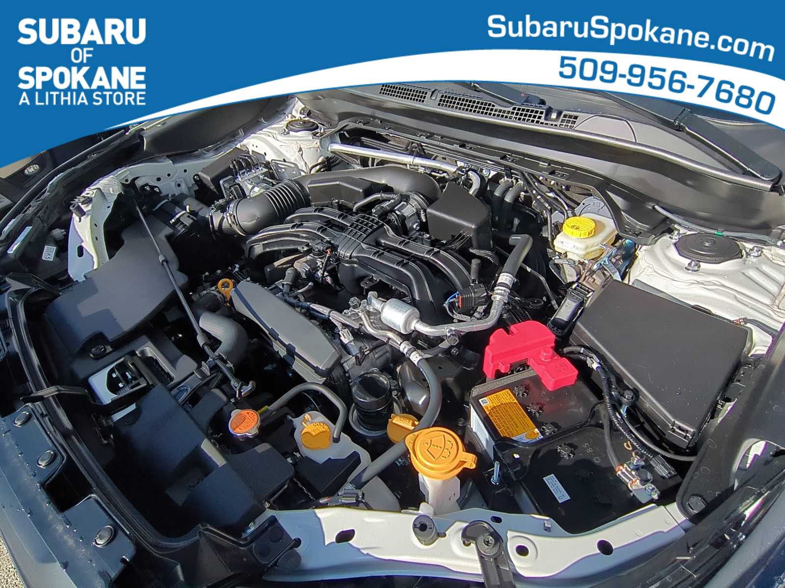 Thumbnail: 2025 Subaru Forester - 15