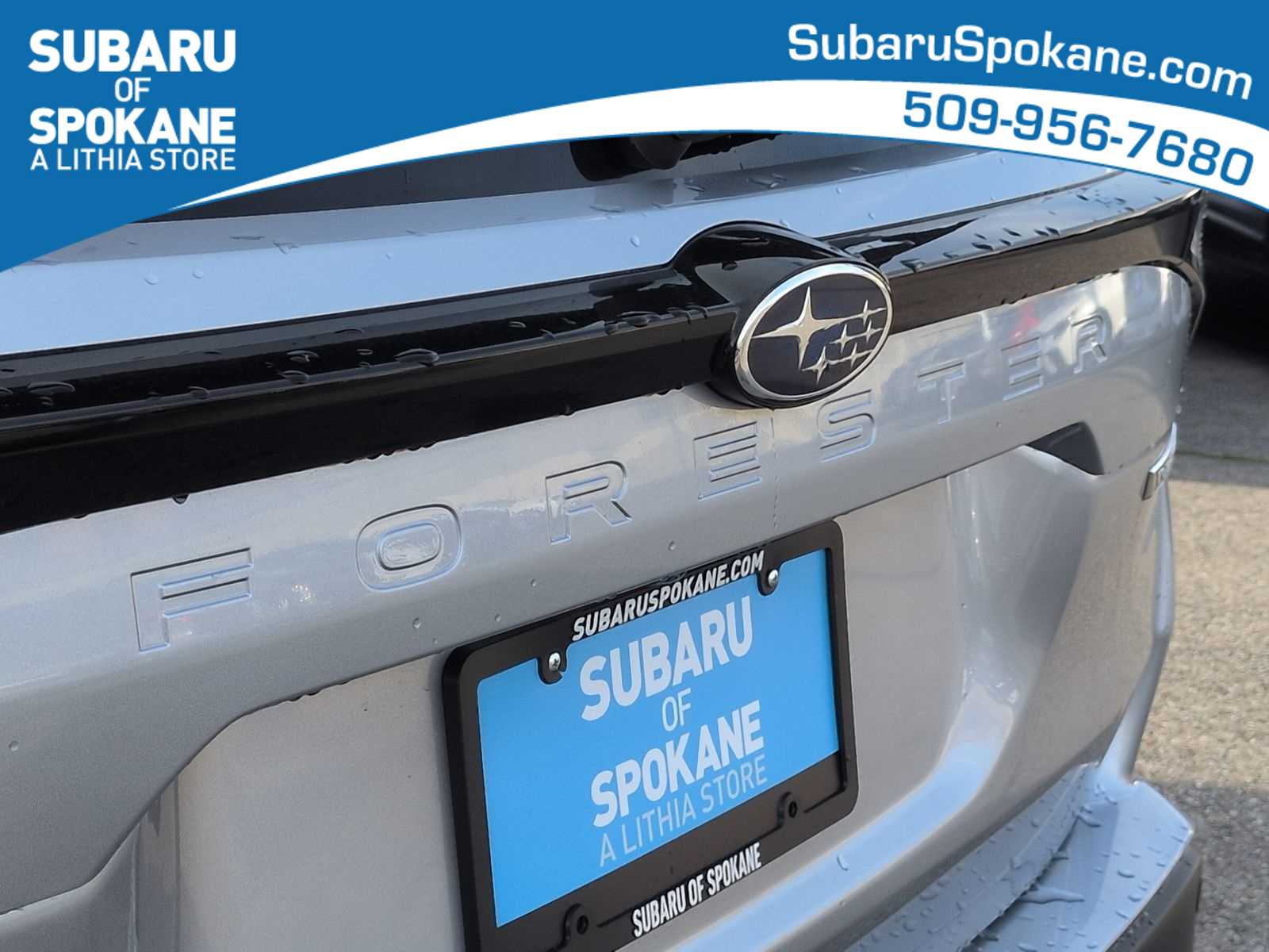 Thumbnail: 2026 Subaru Forester - 12