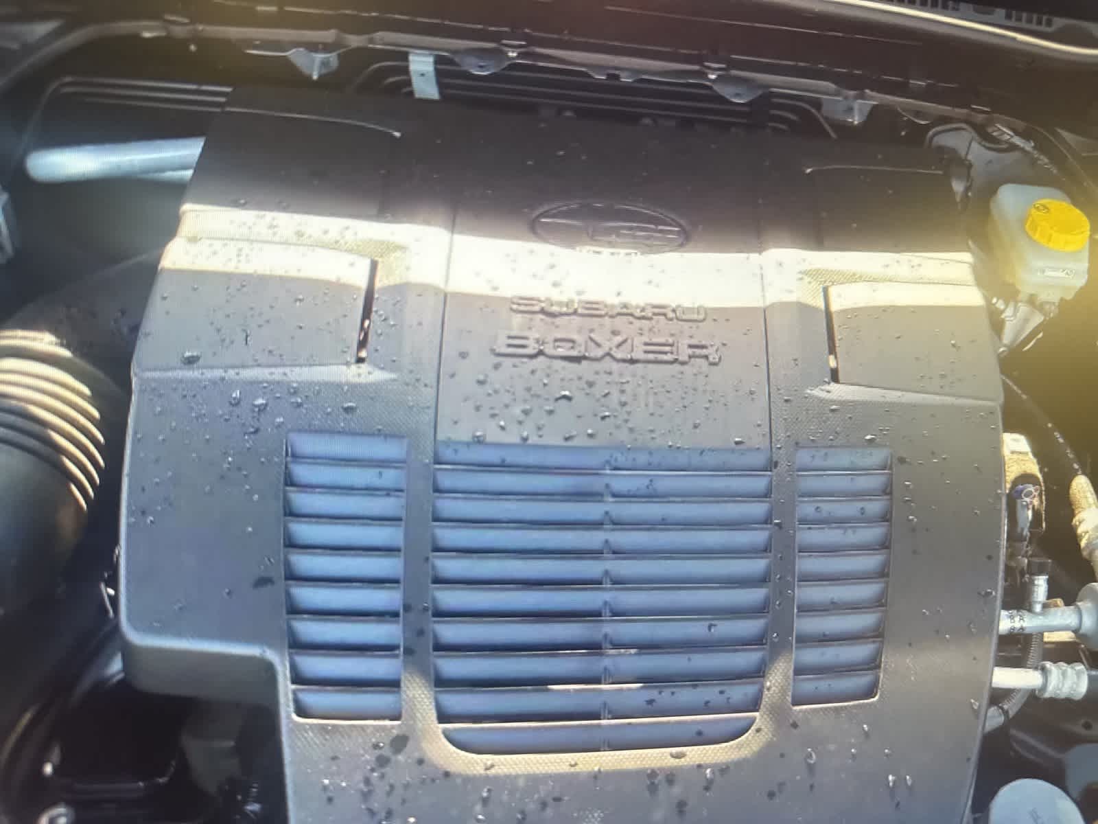 Thumbnail: 2024 Subaru Forester - 18