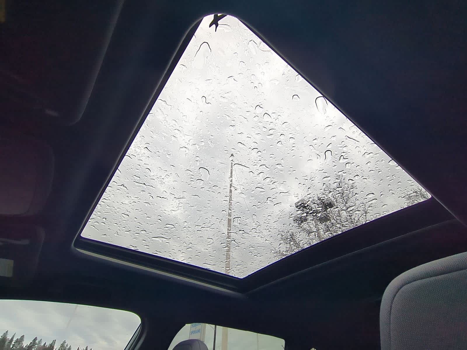 Thumbnail: 2026 Subaru Forester - 20