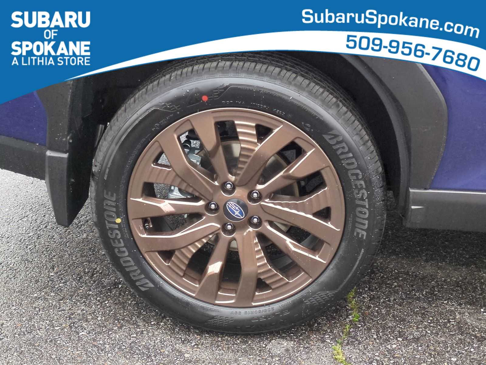 Thumbnail: 2025 Subaru Forester - 14