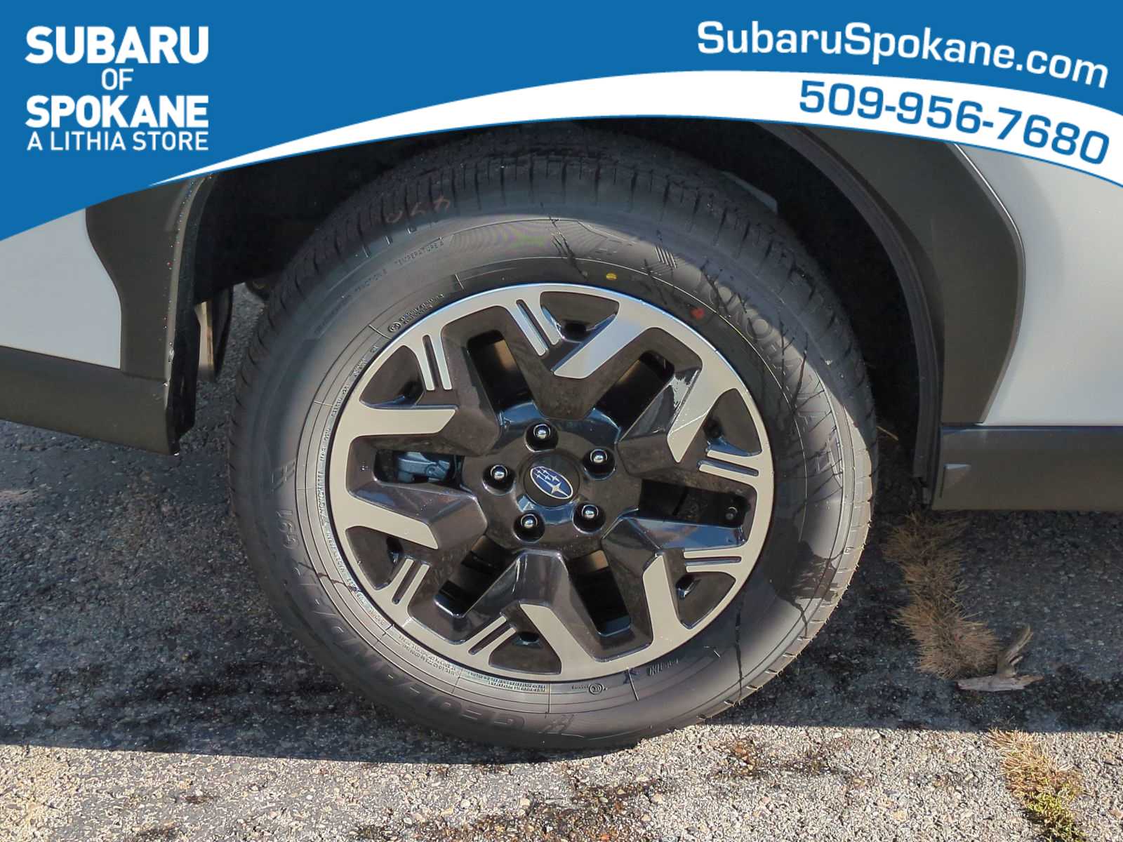 Thumbnail: 2025 Subaru Forester - 14